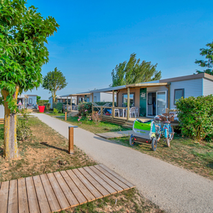 camping offres promotionnelles ile de re