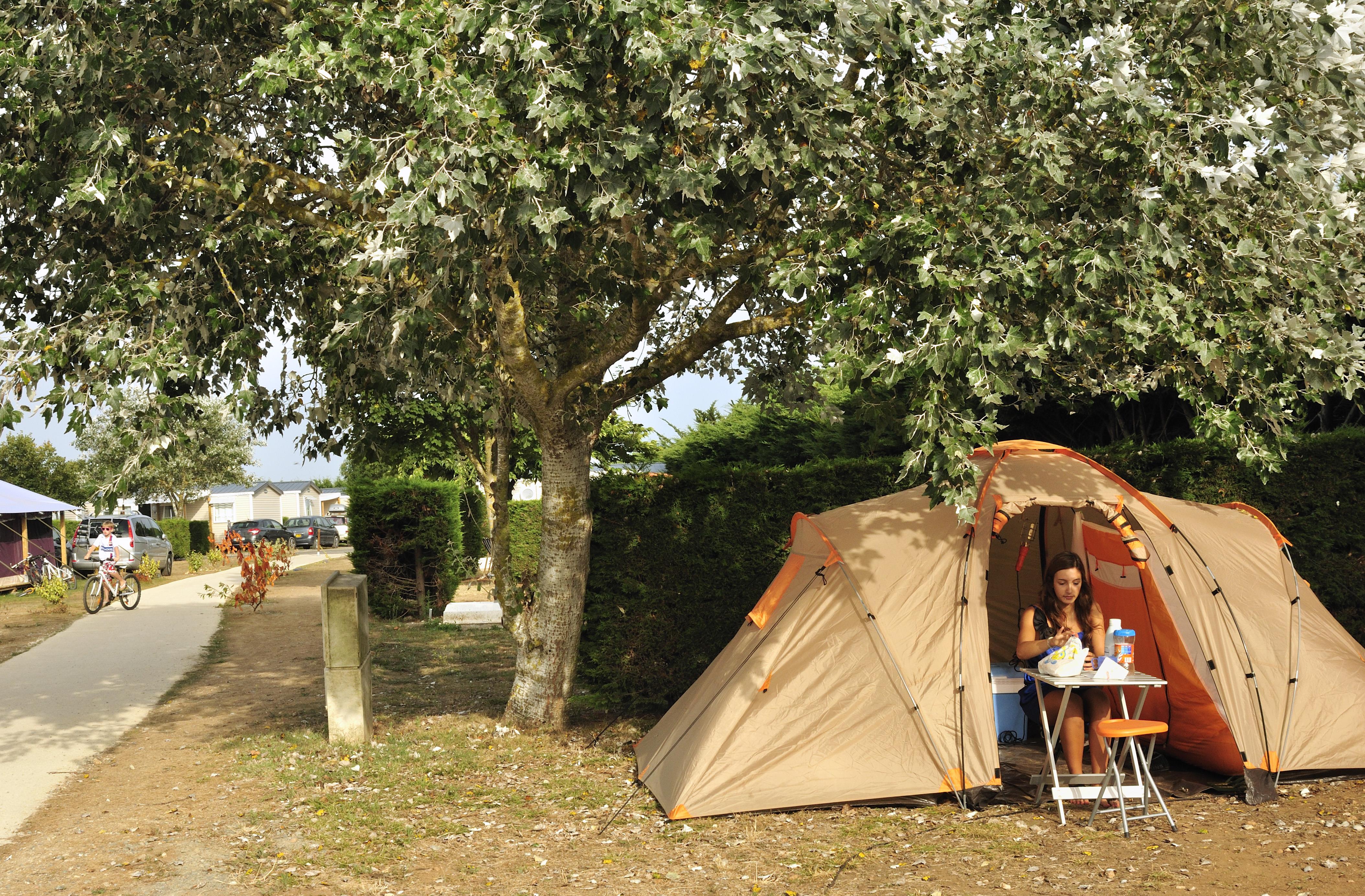 Forfait CONFORT (1 tente, caravane ou camping-car / 1 voiture / électricité 16A)