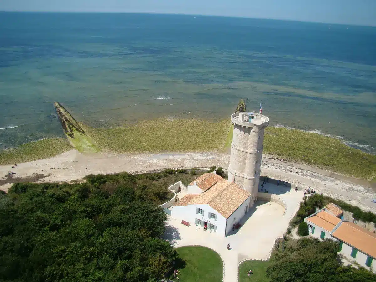 tourisme phare baleines